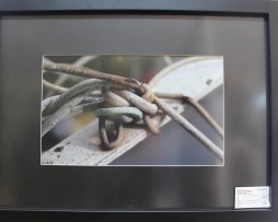 Nikola Markovic; Zica; Umjetnicka fotografija